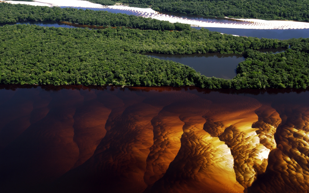 Tuesday 30 October 2001