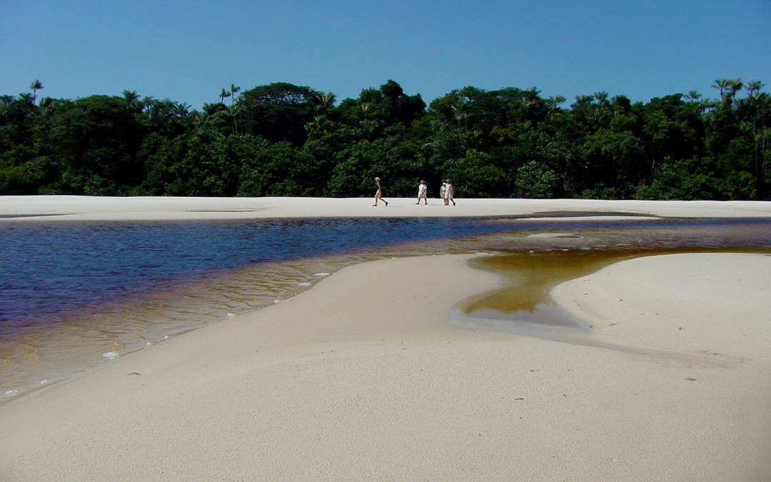 Sunday 25 November 2001