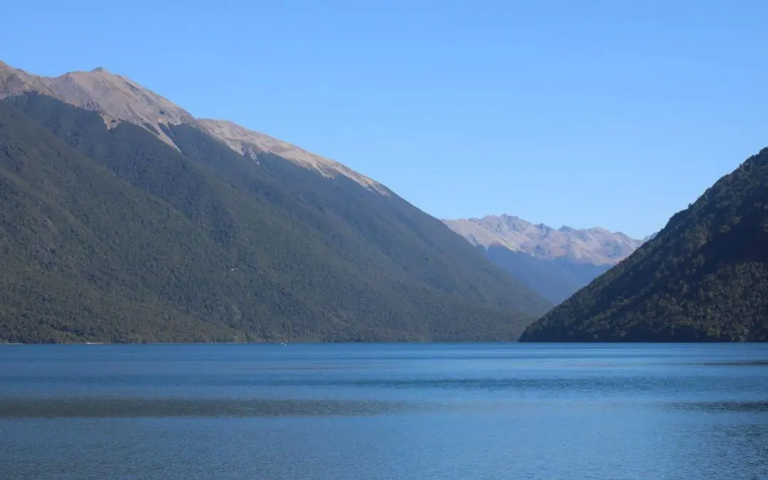 Trapping in Nelson Lakes National Park