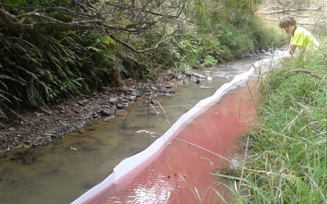 Sedimentation Experiment