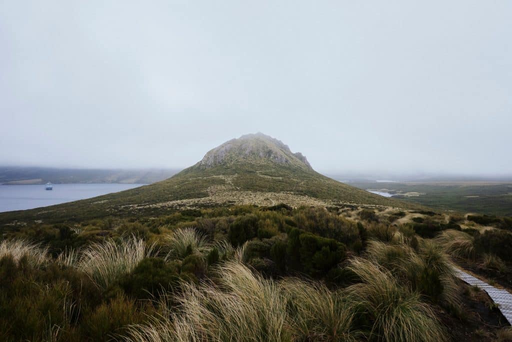 Nicola Stanton; campbell island
