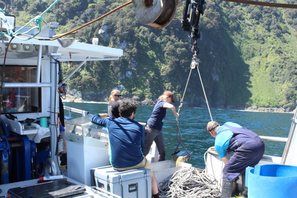 Nicole Cameron GNS Ambassador