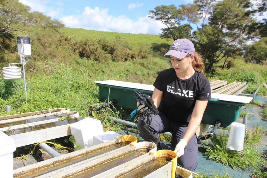 Bridging Partnerships: A Shared Commitment to Environmental Stewardship ...