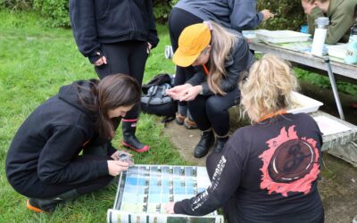 How learning about the natural world helped one teacher find her spark again