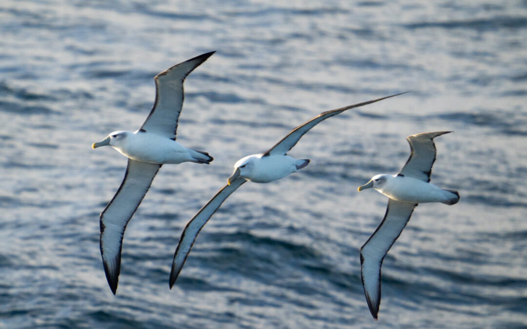 BLAKE 2025 Year-in-review: Looking back at what we’ve achieved